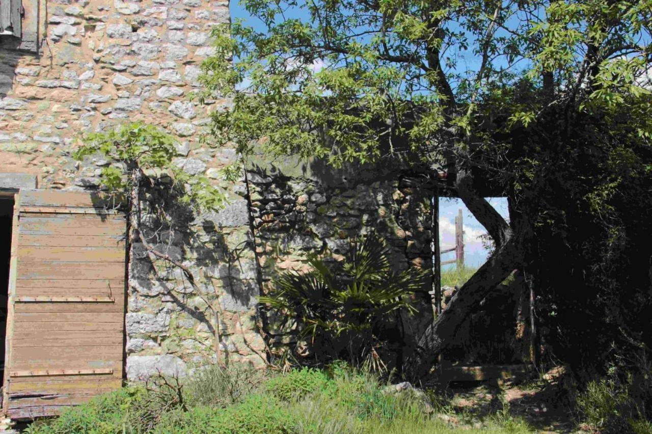 Studio Gard calme et nature Russan Extérieur photo