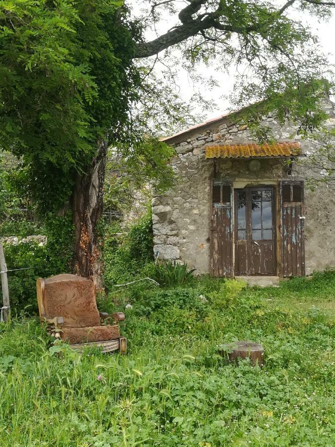 Studio Gard calme et nature Russan Extérieur photo