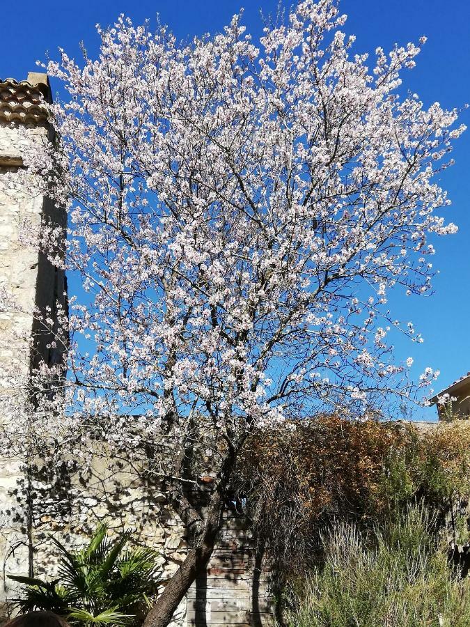 Studio Gard calme et nature Russan Extérieur photo